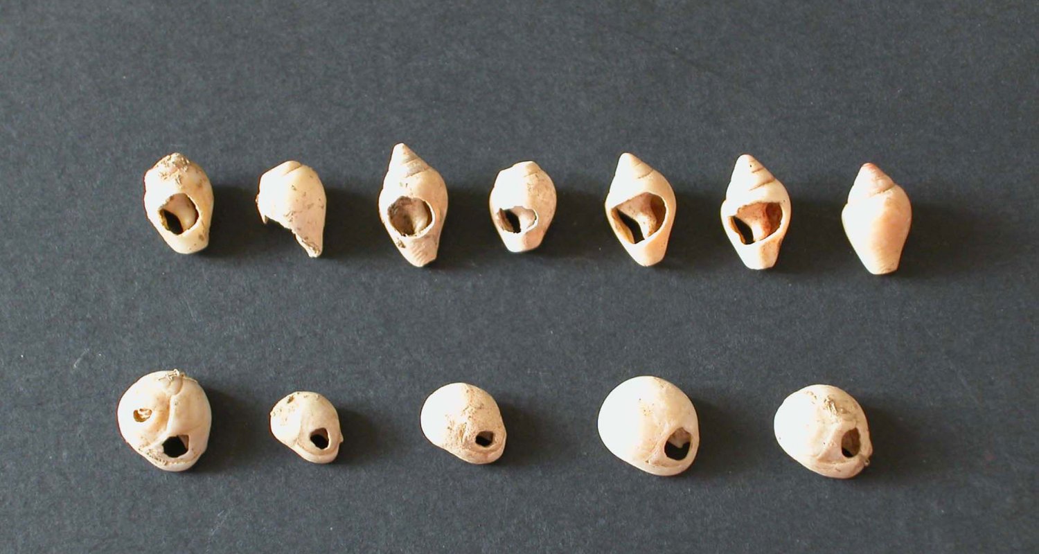 Ornamenti