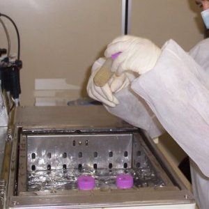 La polvere d'osso viene trattata e in seguito si procede a liberare il DNA dalle proteine e dai principali compartimenti cellulari