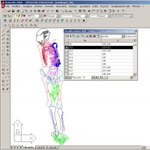 Elaborazione digitalizzata dello scheletro di Romito 7