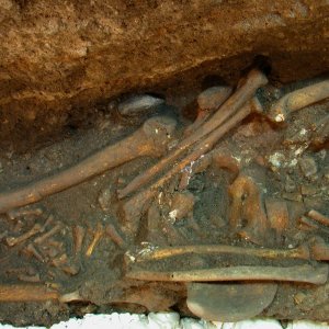 La sepoltura Romito 7 in fase di scavo (2001)