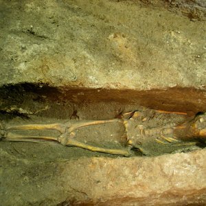 La sepoltura Romito 8 in fase di scavo (2002)