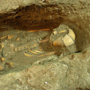 La sepoltura Romito 8 in fase di scavo (2002)
