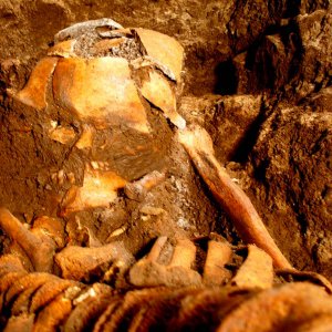 La sepoltura Romito 8 in fase di scavo (2002)