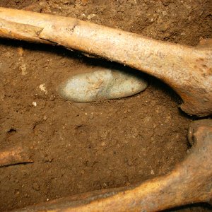 La sepoltura Romito 8 in fase di scavo (2002)