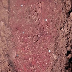 La sepoltura Romito 9 in fase di scavo (2011)