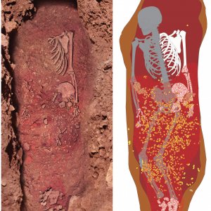 A sinistra parte dello scheletro in fase di scavo di Romito 9. A destra ipotesi ricostruttiva sulla probabile posizione dello scheletro prima della violazione con la ricca ornamentazione e l'ocra