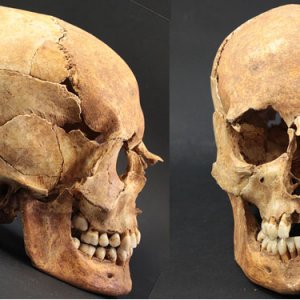 Cranio di Romito 9